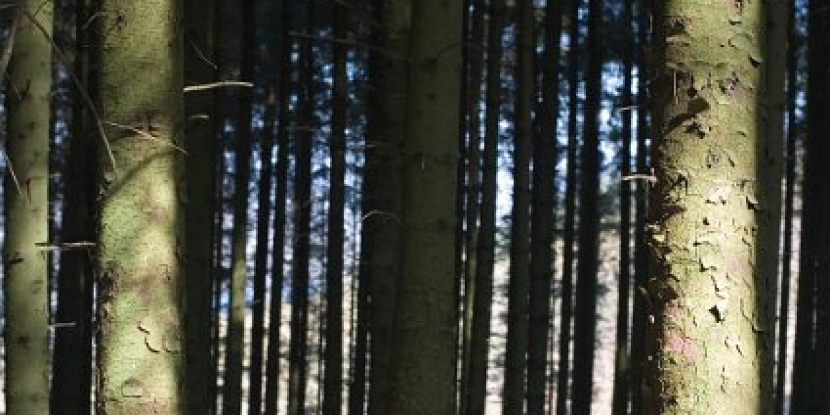 Human Growth Hormone (HGH): Vorteile, Anwendungen und Nebenwirkungen