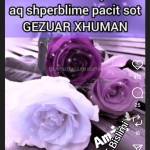 ZAMBAKU974